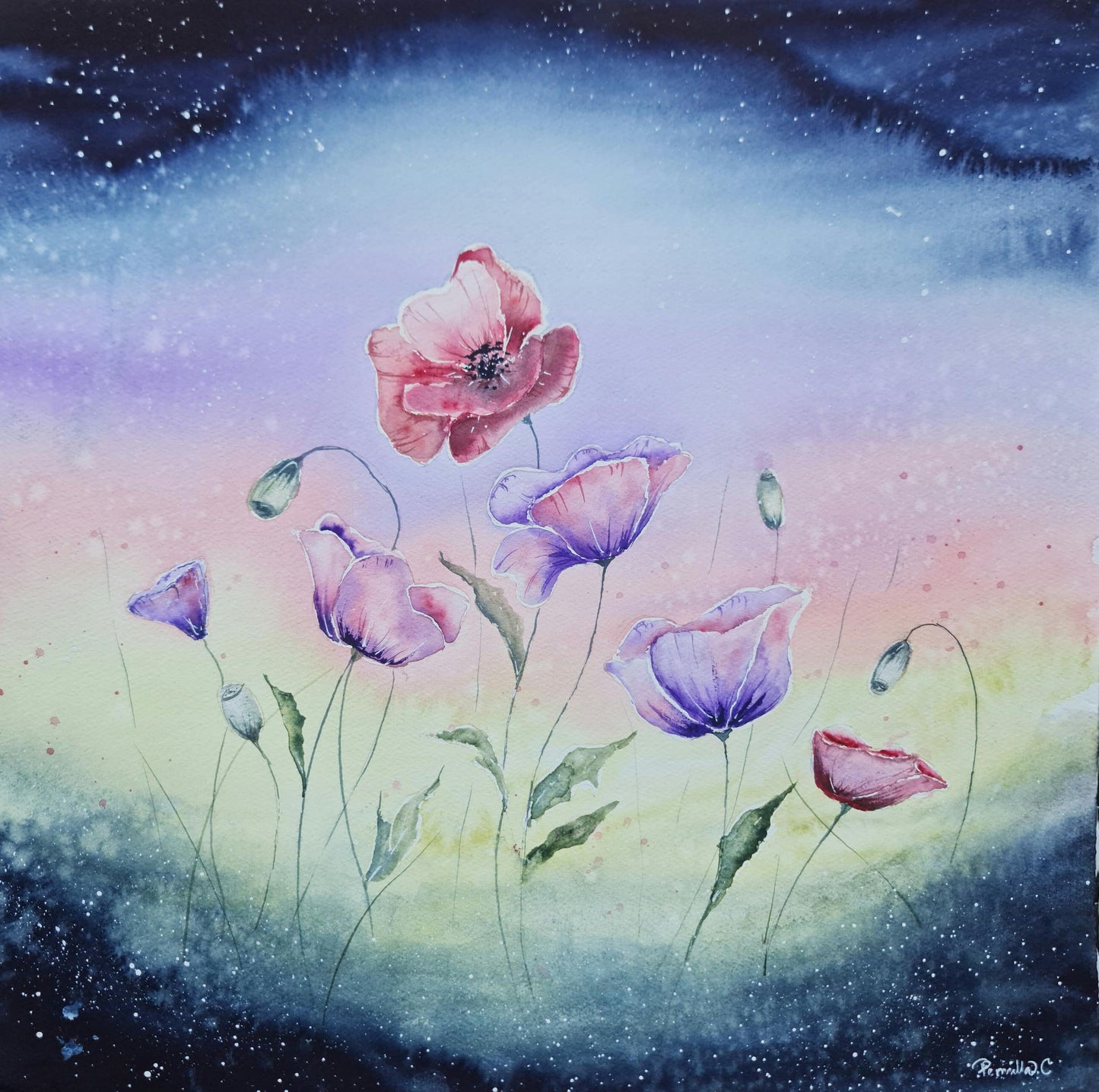 Vibrant Whispers 41x41 cm