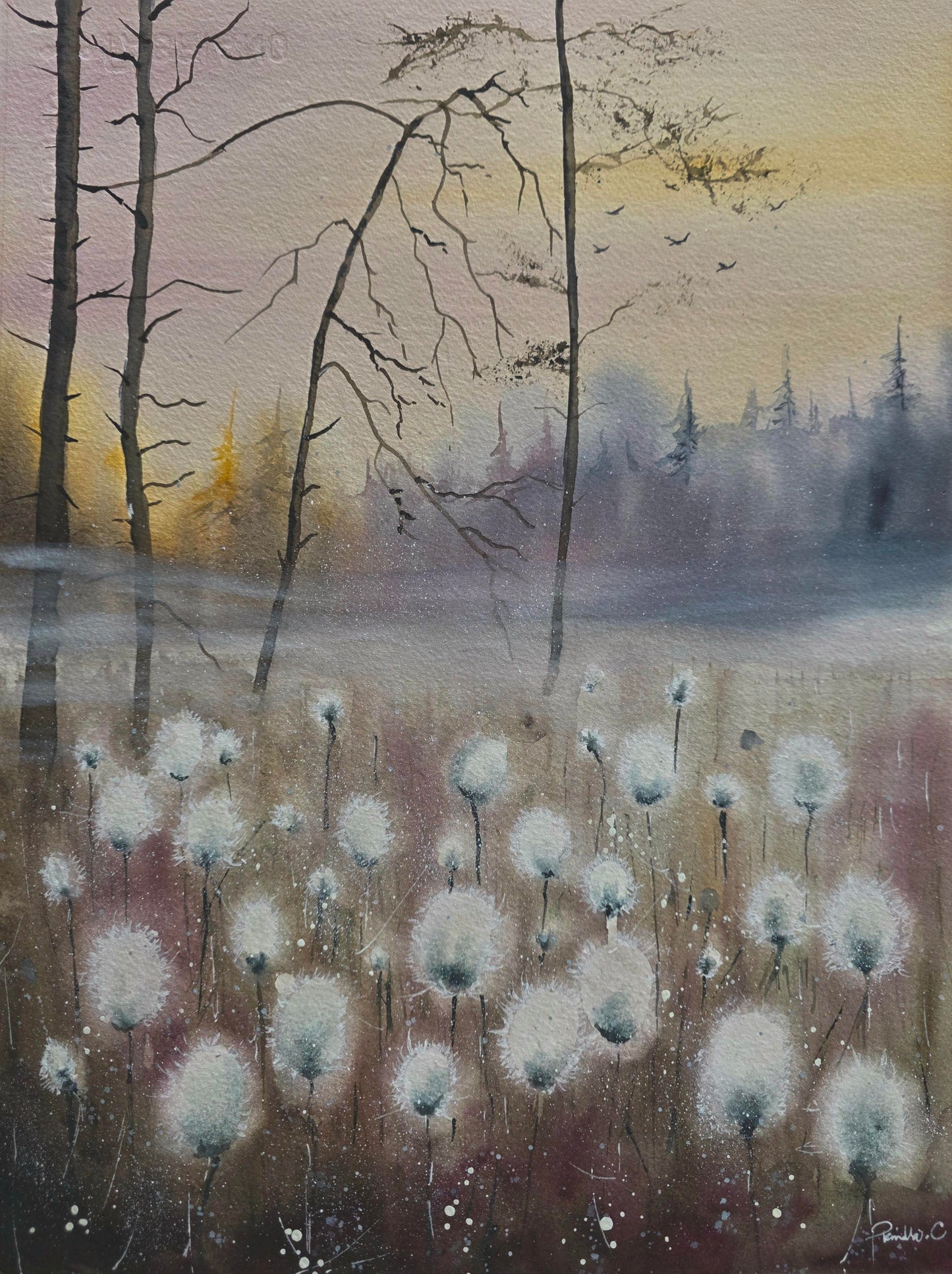 Cottongrass and Mist - 30x40 cm