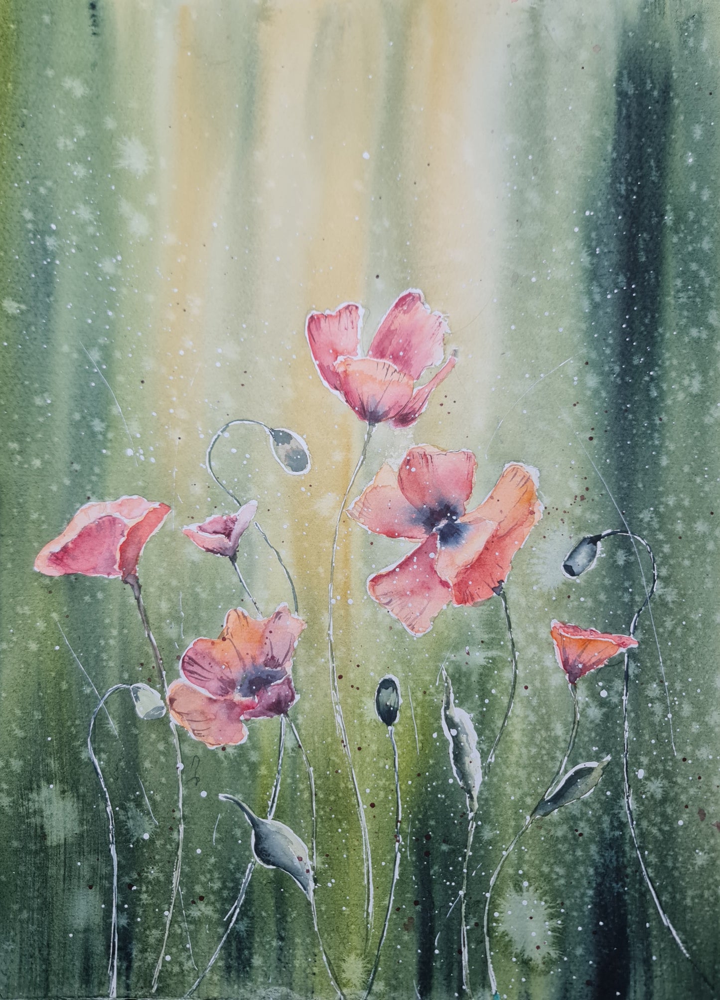 Poppy Whispers 32x42 cm