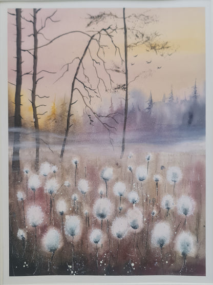 Fine Art Print "Cottongrass and Mist" 